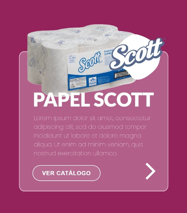 Ls Project 9 Slide 1 1